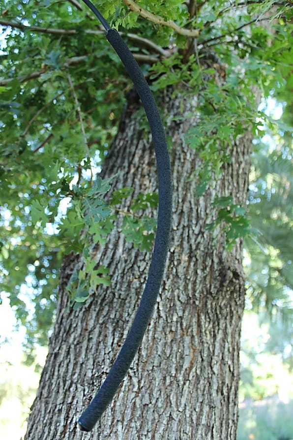 dri-18-tree